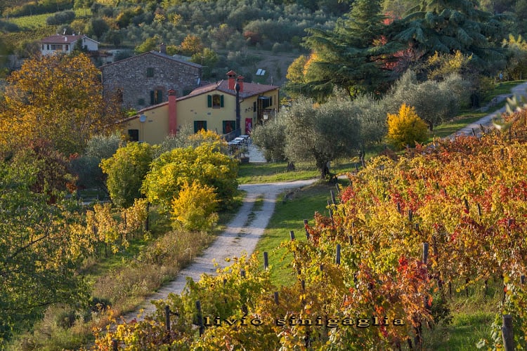 Agriturismo Podere Villa Alessi Di Giacomin Ivano & C. Sas
