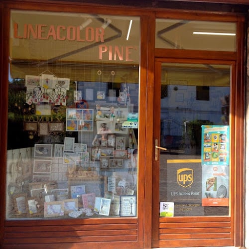 Linea Color Pine' S.N.C.