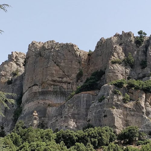 Società Servizi Turistici Cultura e Ambiente S.n.c.