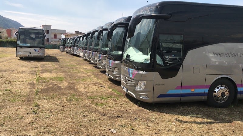 Elefante Turismo E Viaggi Srl
