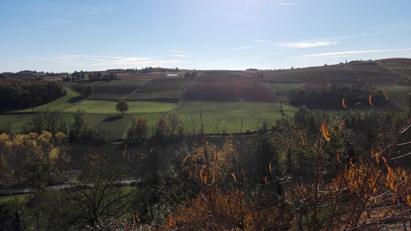 Azienda Agricola Nuova Cappelletta s.s.