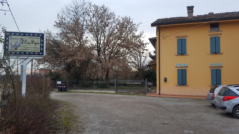 L'oca Bigia