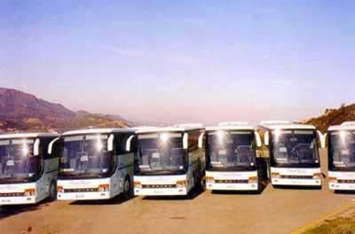 Ricchi Massimo Noleggio Bus Sas