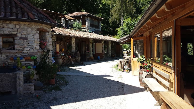 Albero Degli Alberi