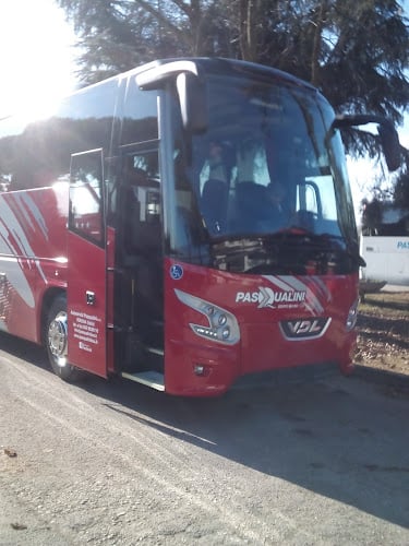 Autoservizi Pasqualini S.r.l.