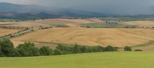 Cooperativa Oleificio Val D'Orcia Societa' Agricola