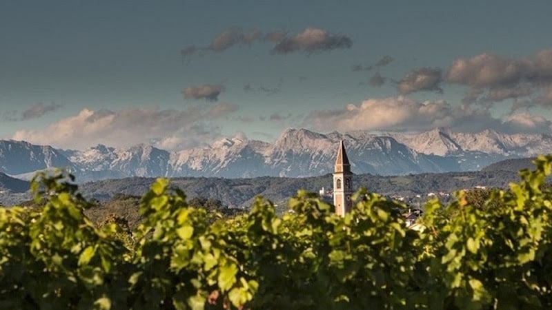 Lis Neris Wines
