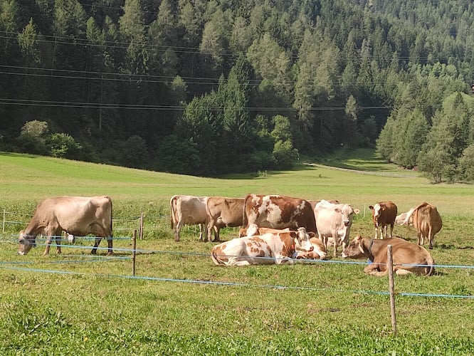 Azienda Agricola Valtresin - fattoria didattica