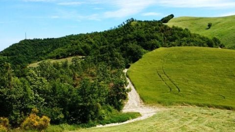 Società Agricola Mauri Maurizio e Michele S.S.