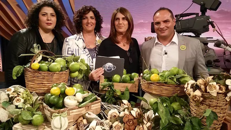 BergArte - Laboratorio artigianale di Mosè Diretto