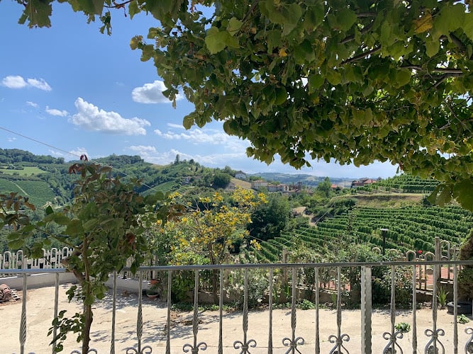 Az. Agr. Cerrino-Agriturismo "Finestre di Langa"