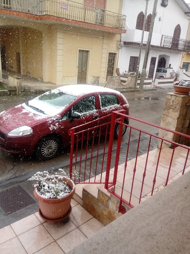 Scarlino Supermercati Srl
