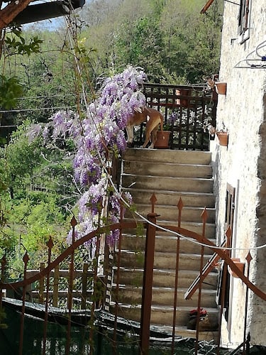 Azienda Agricola Gostner