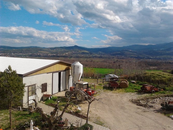 Azienda agricola "I Formaggi di Rosella"