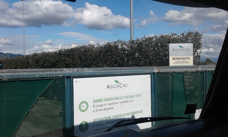 Agizza Ciro & C Srl