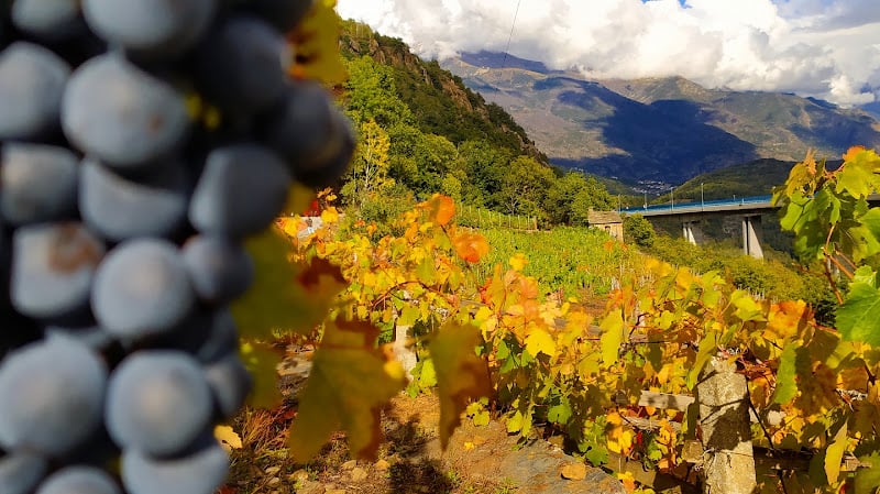 ' l Garbin Vini Valsusa DOC