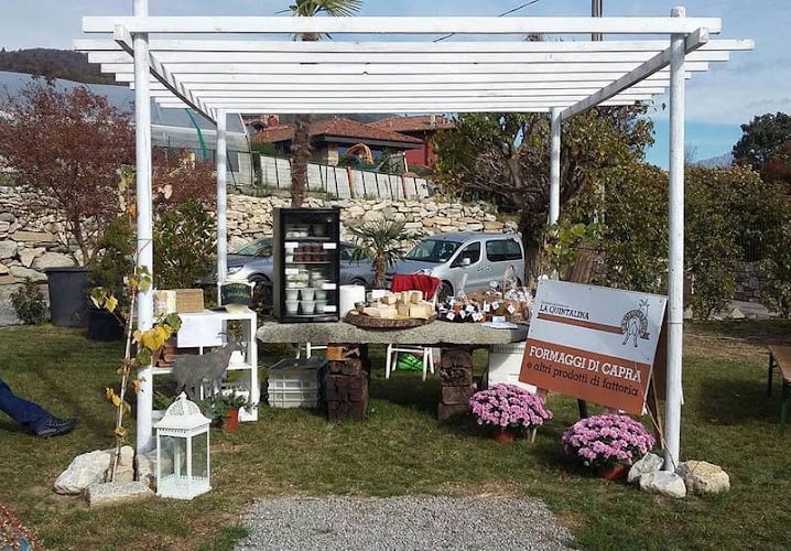 La Quintalina Azienda Agricola