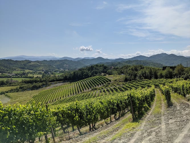 Azienda Agricola Magda Pedrini