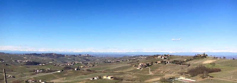 Tenuta Belvedere