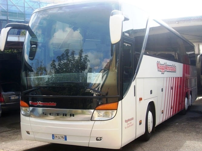 Annunziata Domenico Noleggio Autobus