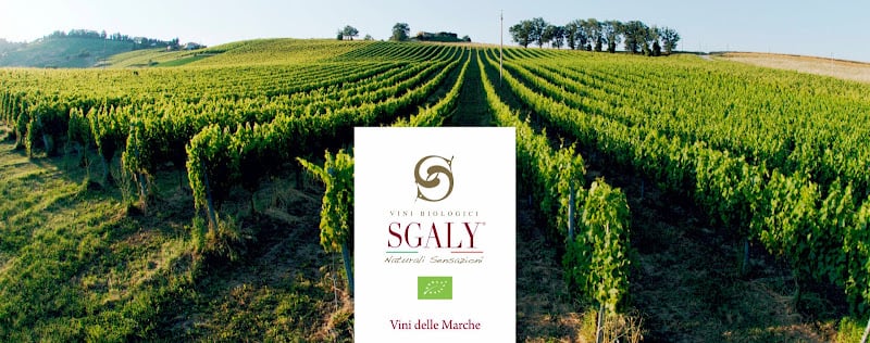 SGALY Vini Biologici