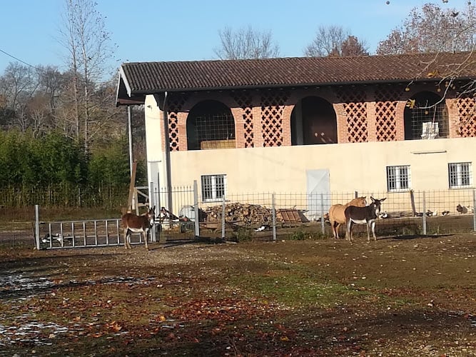 Agriturismo "Le Barche" di Fiorini G.