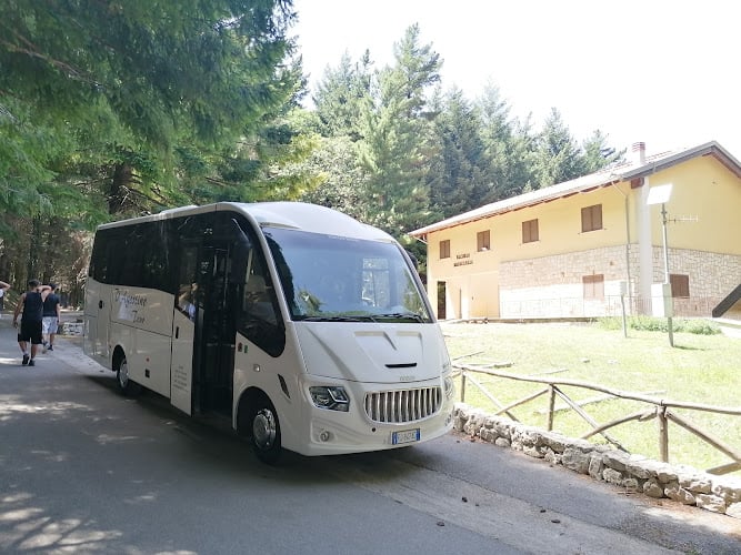 D'Agostino Tour Srl