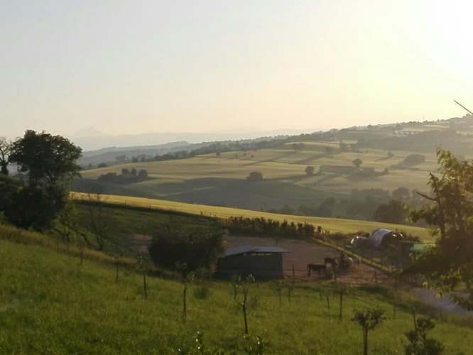 Ca di Luna - Asineria & Agricoltura Sociale