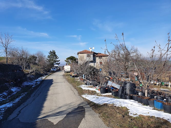 Agriturismo "La rondine" di Piozzano loc. Groppo Arcelli