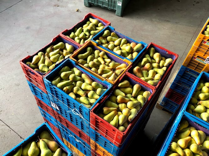Ortofrutta Scursatone