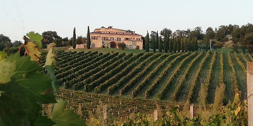 Tenuta Santa Lucia