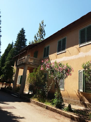 Le Fate Dei Fiori