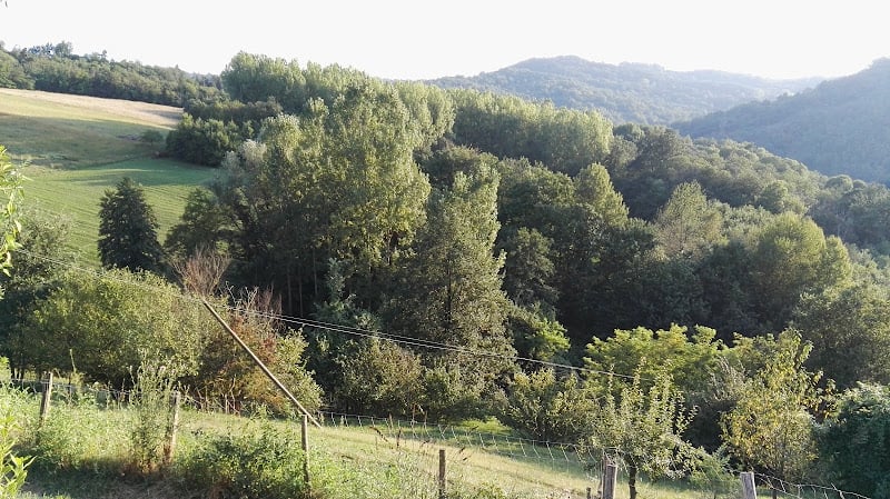 Pascoli di Amaltea