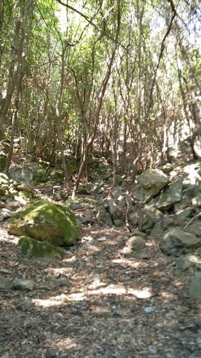 Azienda Agricola Acqua Calda