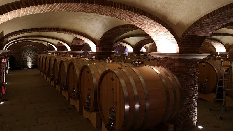 Cantine Povero srl