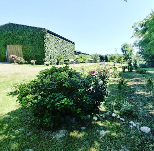Agriturismo Coleto