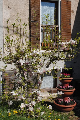Agriturismo Meneguz Aurelia