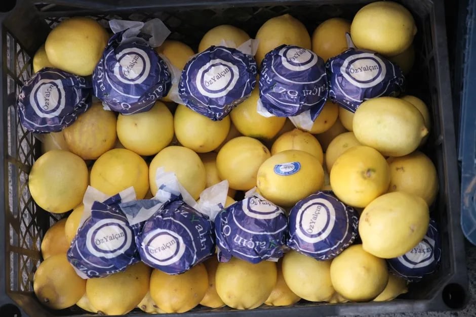 Festa del limone