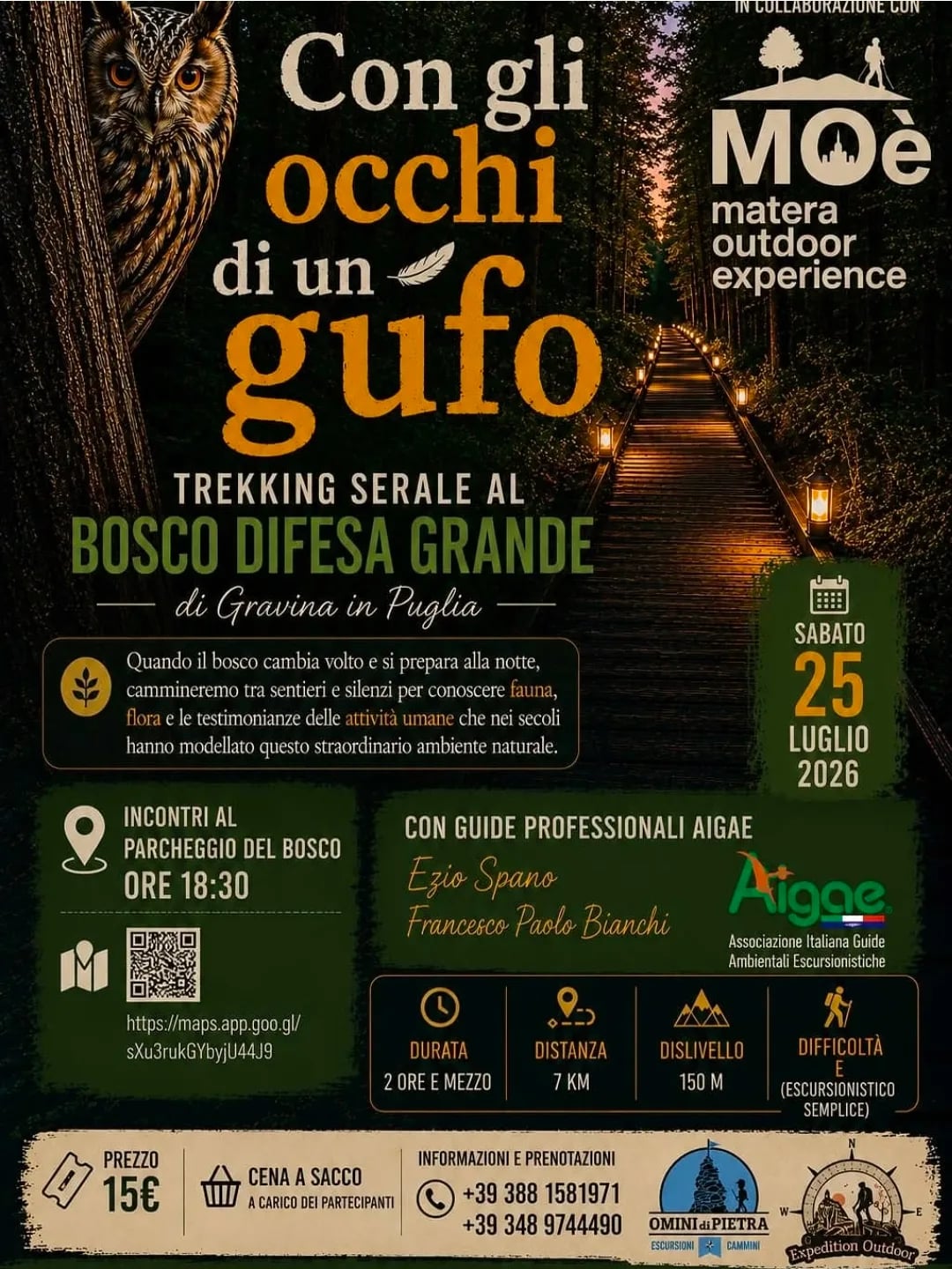 Con gli occhi di un gufo 2026