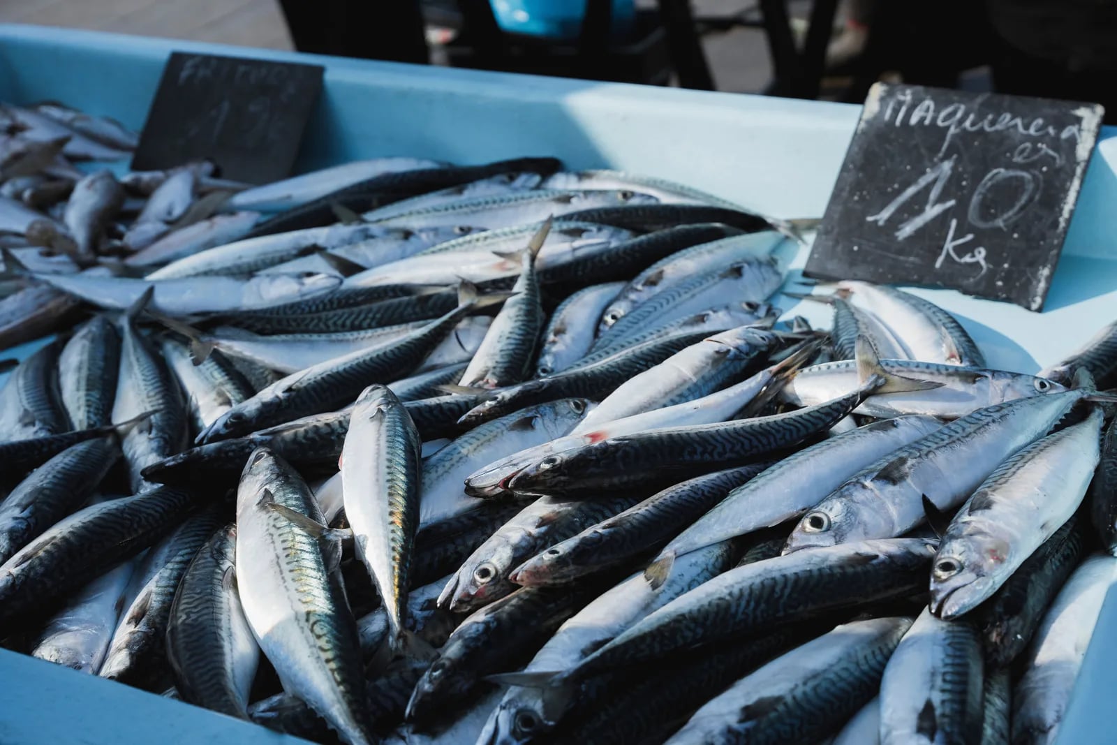 Sagra del pesce