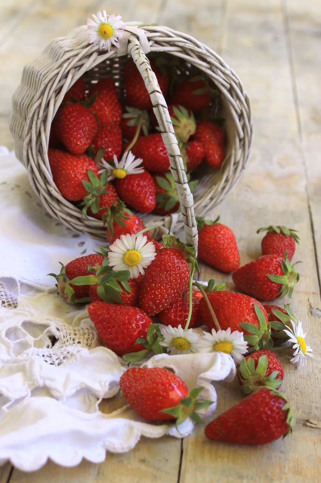 Sagra della Fragola
