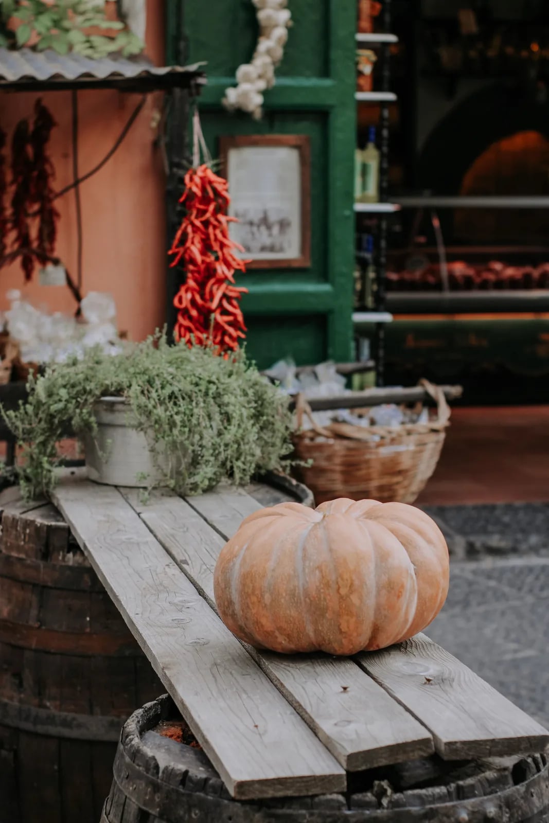 Festa dei fiori di zucca