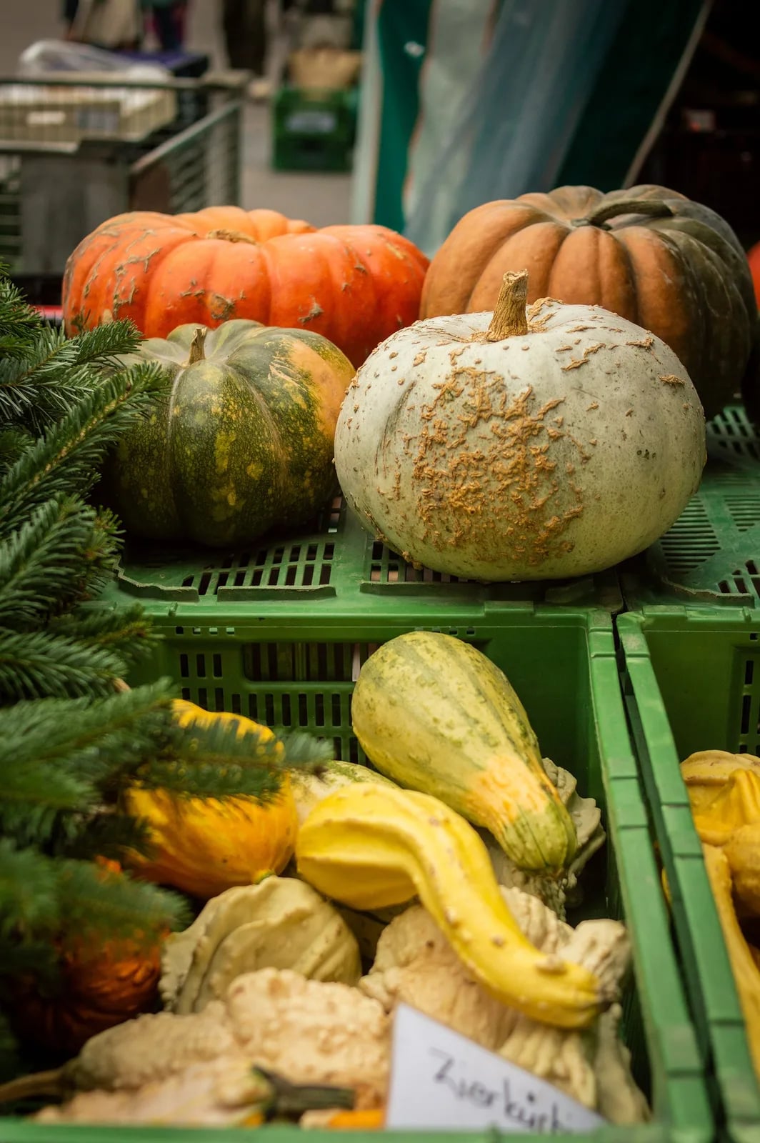 Sagra dello zucchino