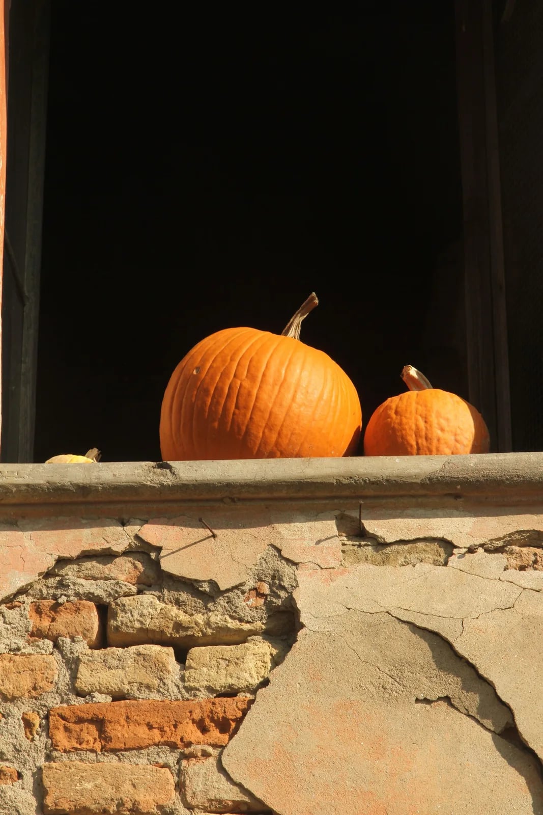 Sagra della Zucca