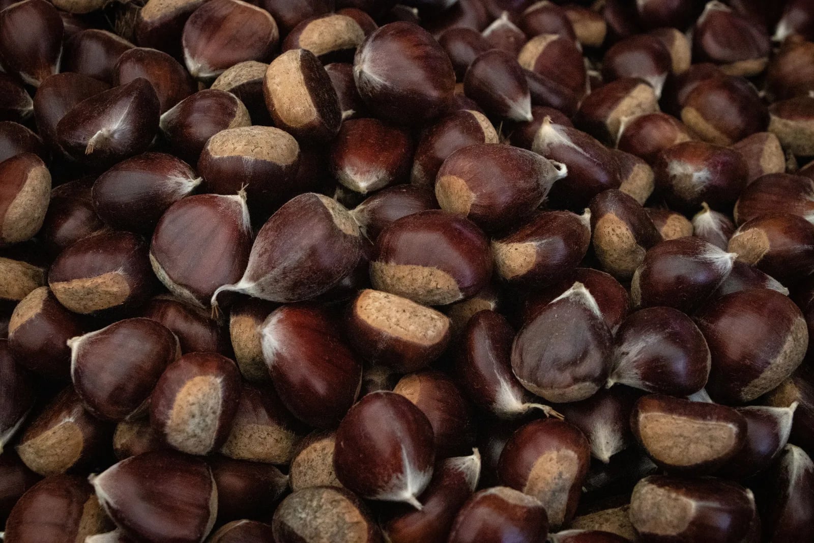 Festa delle castagne e dei ricordi