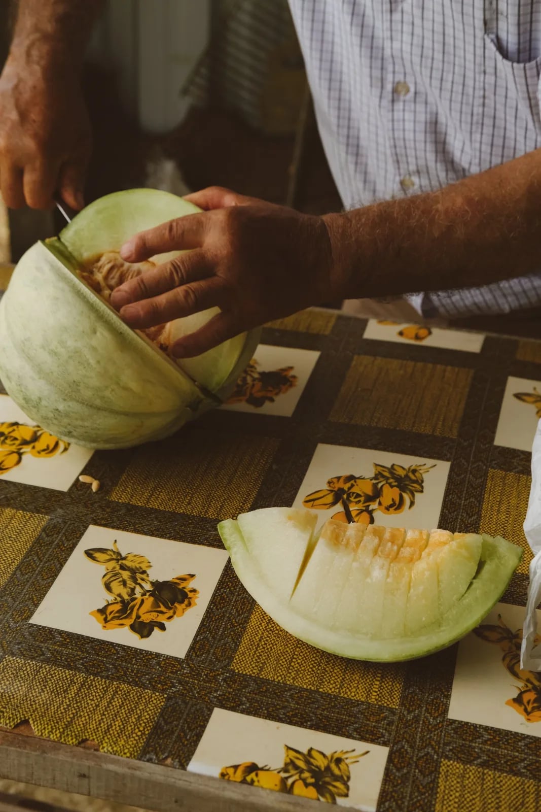 Sagra del melone