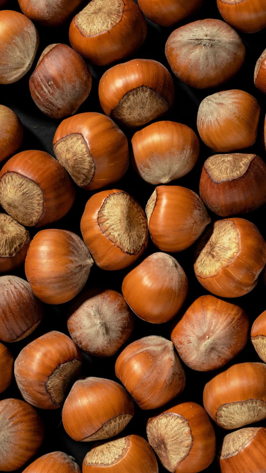 Festa della Nocciola