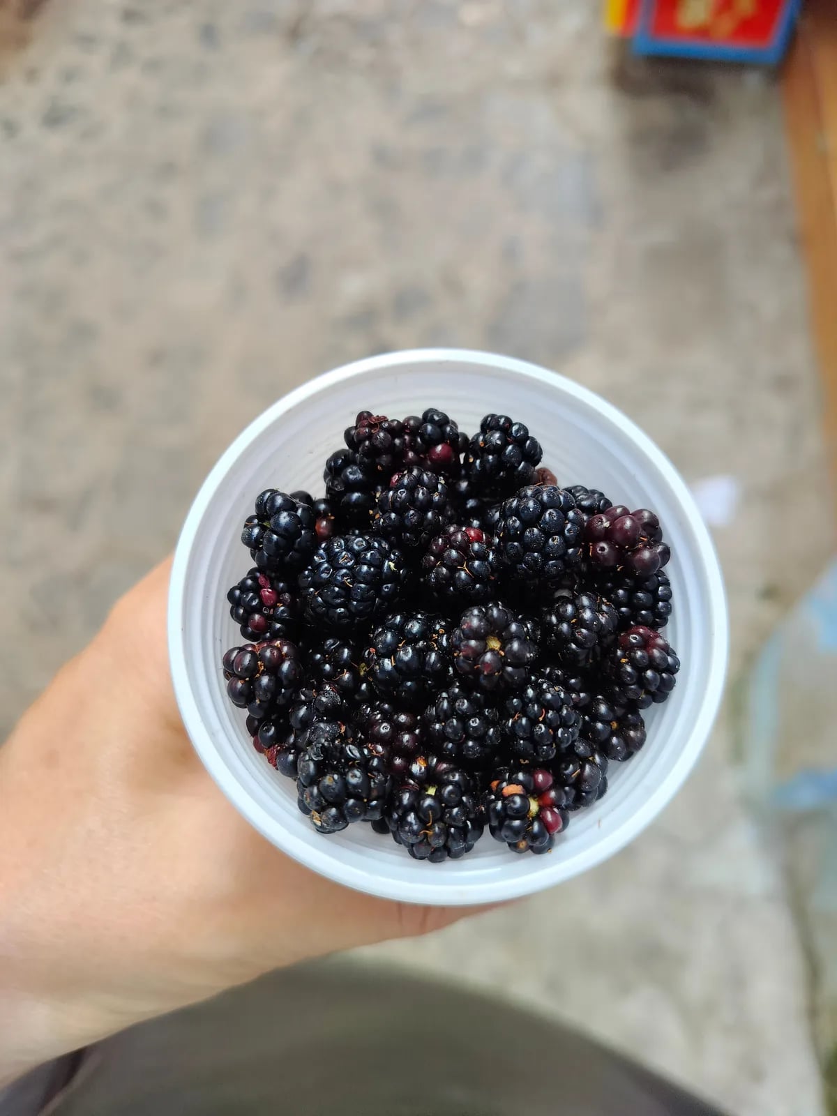 Antichi sapori e mestieri