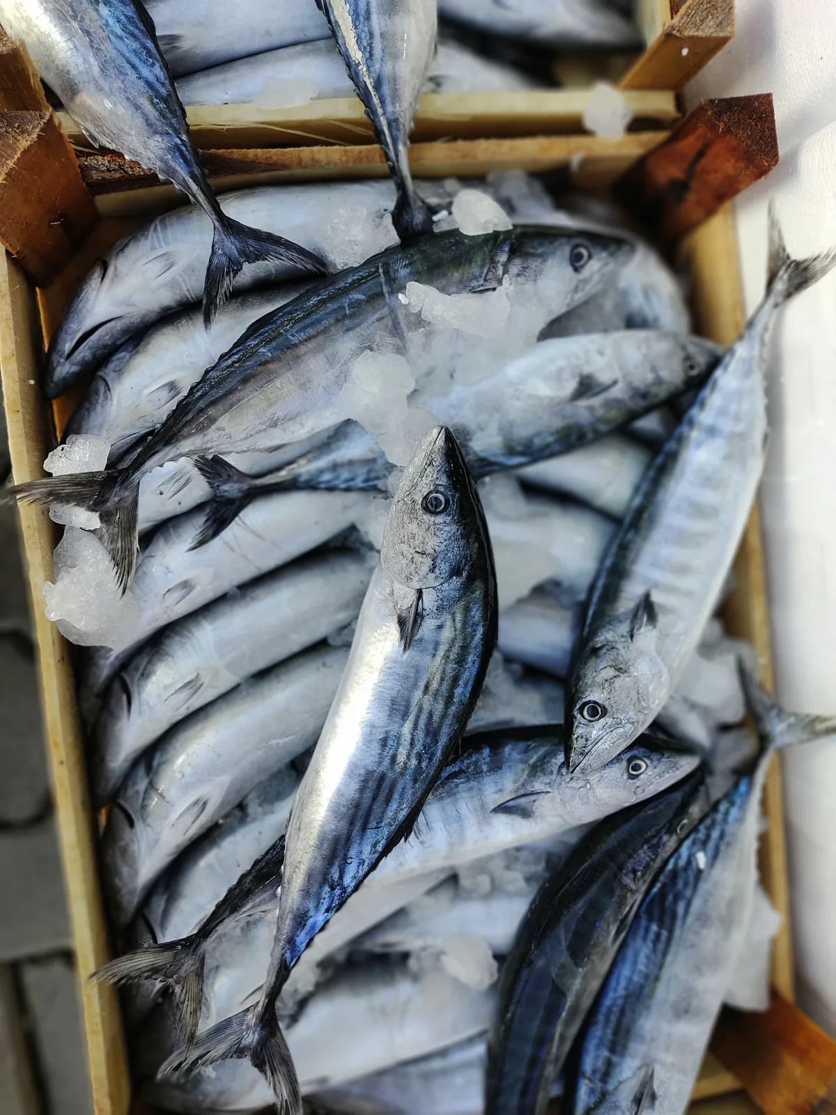 Il Pesce fa Festa
