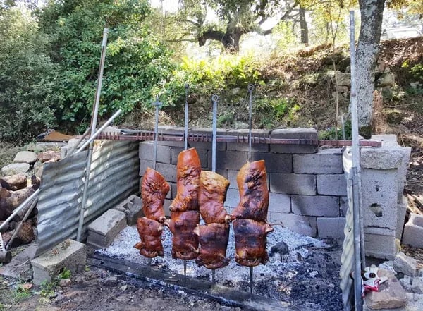 Festa del cinghiale